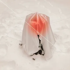 The Truth is in the Soil artwork