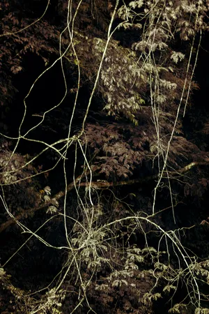 Primordial Earth artwork