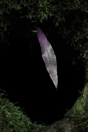Primordial Earth artwork