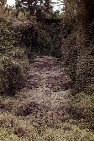 Primordial Earth artwork