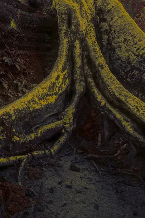 Primordial Earth artwork