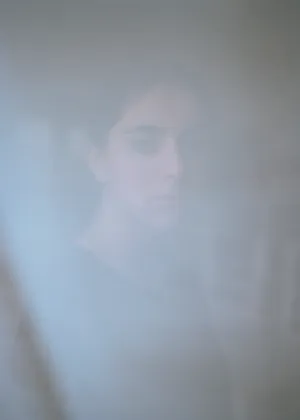 The Veil artwork