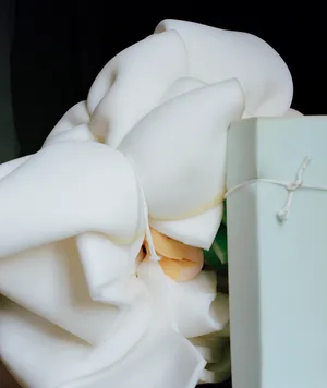 The Vulgarity of Being Three-Dimensional artwork