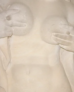 The Vulgarity of Being Three-Dimensional artwork