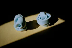 The Vulgarity of Being Three-Dimensional artwork
