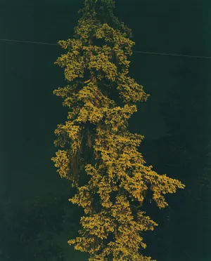 Meet the artists nominated by PhotoIreland in 2022