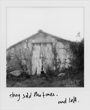 They sold the farm. And left. artwork