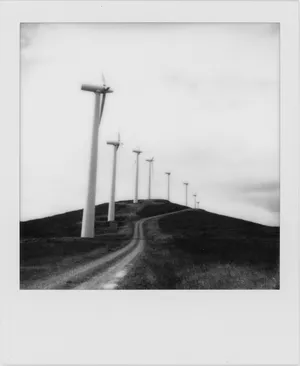 They sold the farm. And left. artwork