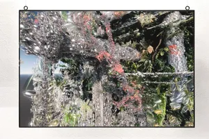 Thresholds of Engineered Life artwork