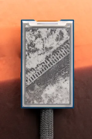 Thresholds of Engineered Life artwork