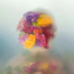 To breath throughout colors artwork