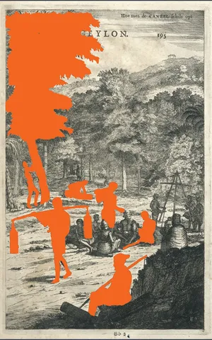 To Taste a Bittersweet History