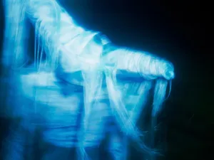 Towards a fluid future – Ugo Woatzi in conversation with Eli Witteman