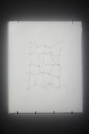 Traces of Support artwork