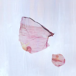 Trialed by water artwork