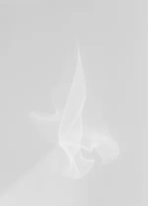 Trophia artwork