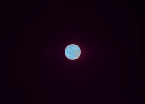 Un point bleu pâle artwork