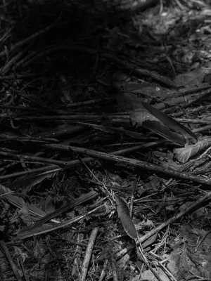 Underfoot artwork