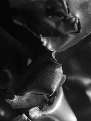 Underfoot artwork