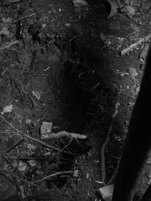 Underfoot artwork