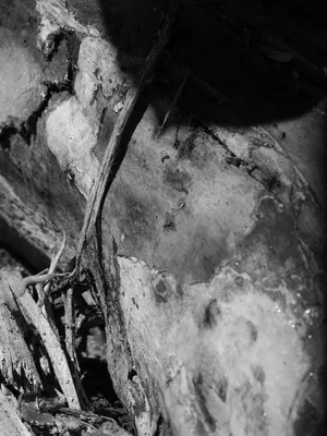 Underfoot artwork