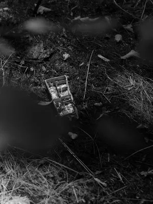 Underfoot artwork