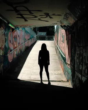 Unlawful Presences artwork