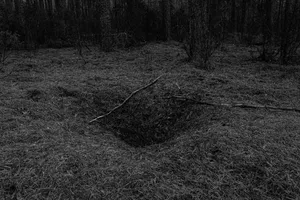 Uprooted artwork