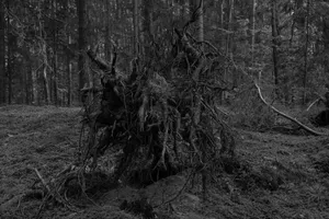 Uprooted artwork