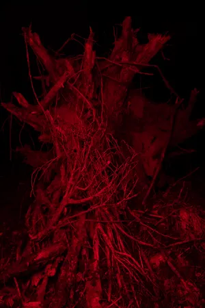 Uprooted artwork