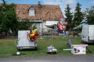Village youth in Hungary artwork