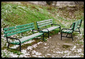 Walk in Synchronicity artwork