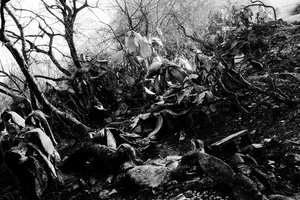 War Battles and Lethal Climate Changes artwork
