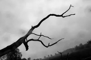 War Battles and Lethal Climate Changes artwork