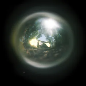 Warhole artwork