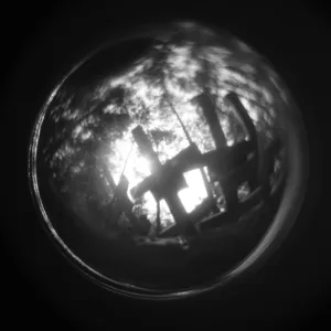 Warhole artwork