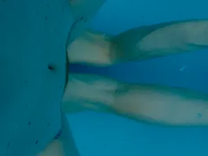 Water artwork