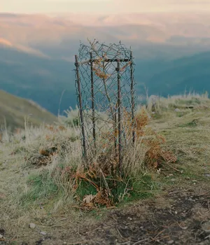 What is left artwork