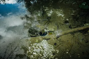 Where the river runs mute artwork