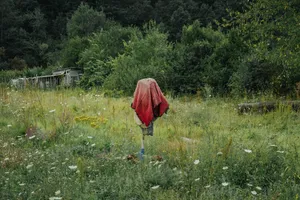 Sakis Dazanis