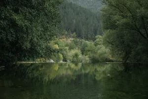 Where the river runs mute artwork