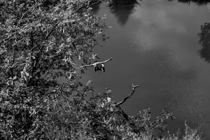 Within The Bubble of Surroundings artwork