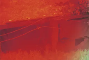 Wounds of Violence artwork