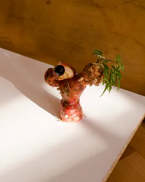 You are allowed to mix apples and pears artwork
