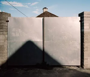 Youth of the Island Field artwork