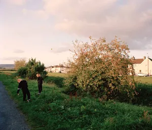 Youth of the Island Field artwork