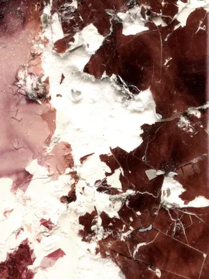 Zer-Störung artwork